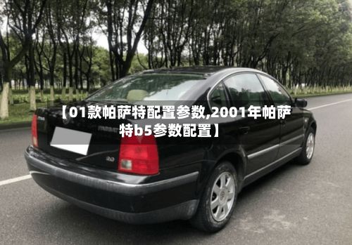 【01款帕萨特配置参数,2001年帕萨特b5参数配置】
