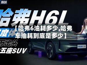 【哈弗6油耗多少,哈弗车油耗到底是多少】-第3张图片
