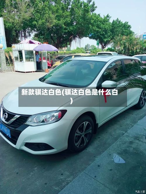 新款骐达白色(骐达白色是什么白)