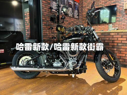 哈雷新款/哈雷新款街霸-第2张图片