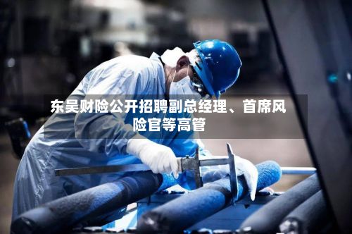 东吴财险公开招聘副总经理、首席风险官等高管