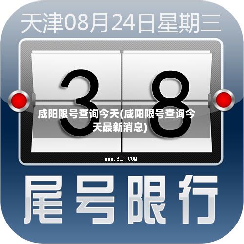 咸阳限号查询今天(咸阳限号查询今天最新消息)-第2张图片