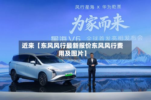 近来【东风风行最新报价东风风行费用及图片】-第2张图片