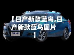 【日产新款蓝鸟,日产新款蓝鸟图片】