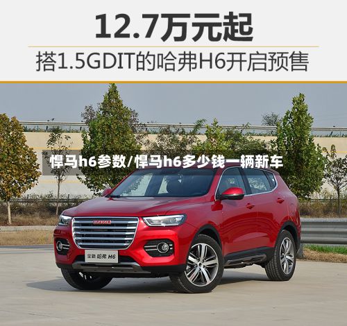 悍马h6参数/悍马h6多少钱一辆新车