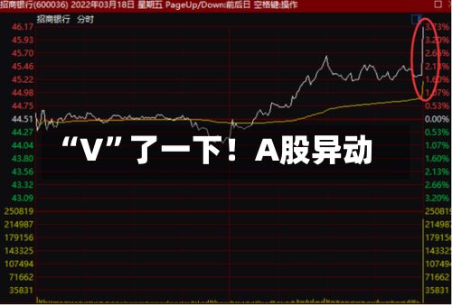 “V”了一下！A股异动-第2张图片