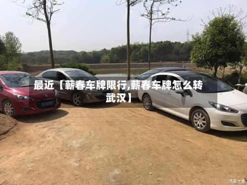最近【蕲春车牌限行,蕲春车牌怎么转武汉】-第2张图片