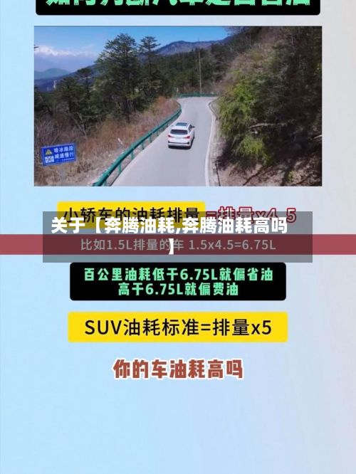 关于【奔腾油耗,奔腾油耗高吗】-第2张图片
