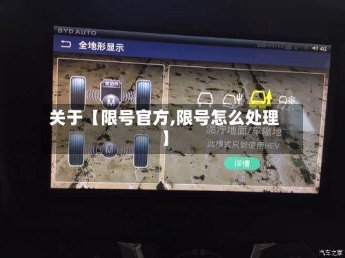 关于【限号官方,限号怎么处理】-第3张图片
