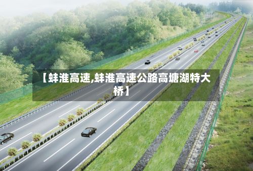 【蚌淮高速,蚌淮高速公路高塘湖特大桥】-第2张图片