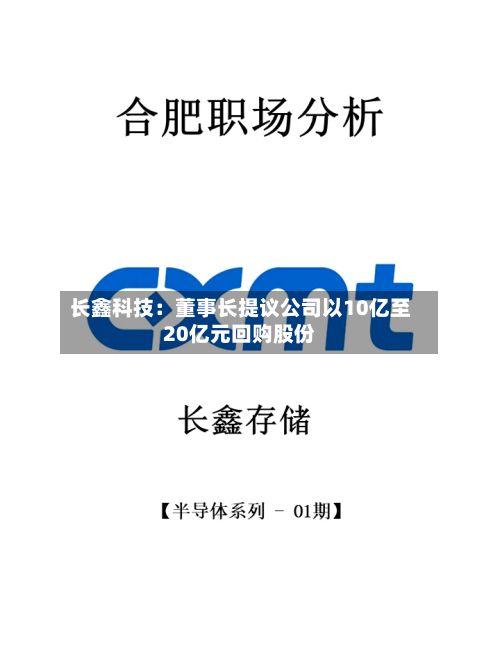 长鑫科技：董事长提议公司以10亿至20亿元回购股份-第2张图片