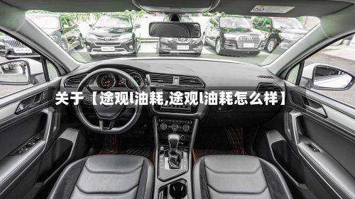 关于【途观l油耗,途观l油耗怎么样】-第2张图片