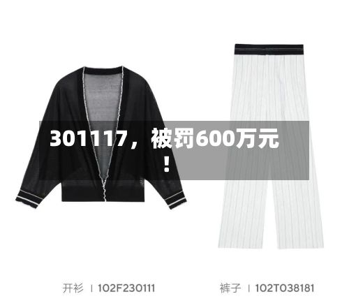 301117，被罚600万元！