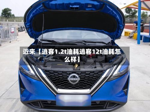 近来【逍客1.2t油耗逍客12t油耗怎么样】-第1张图片