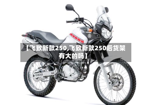 【飞致新款250,飞致新款250后货架有大的吗】-第2张图片
