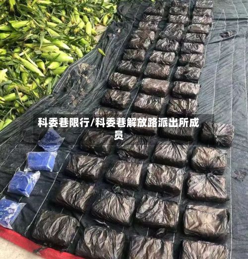 科委巷限行/科委巷解放路派出所成员-第3张图片