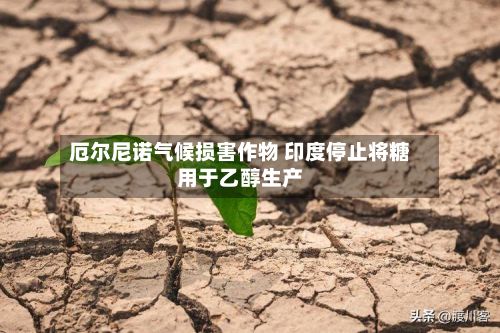 厄尔尼诺气候损害作物 印度停止将糖用于乙醇生产-第3张图片