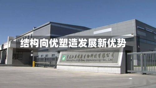 结构向优塑造发展新优势