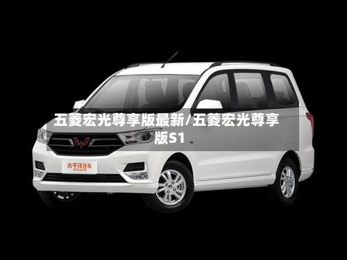 五菱宏光尊享版最新/五菱宏光尊享版S1