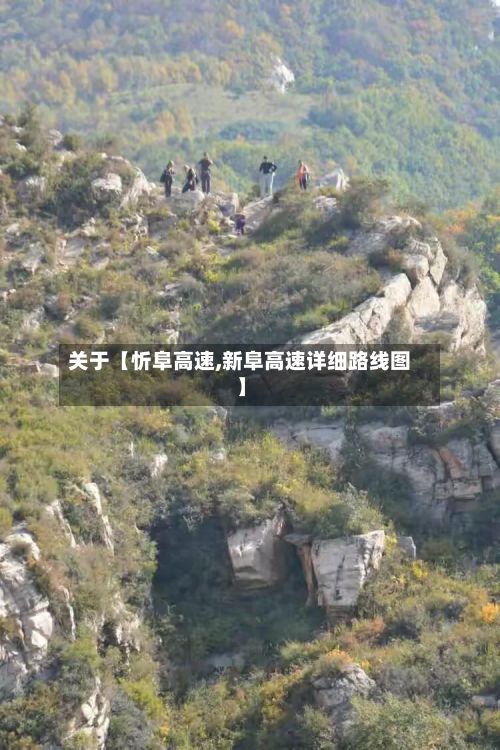 关于【忻阜高速,新阜高速详细路线图】