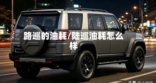 路巡的油耗/陆巡油耗怎么样-第3张图片