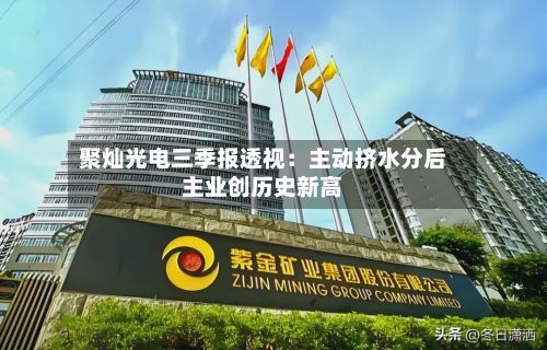 聚灿光电三季报透视：主动挤水分后主业创历史新高