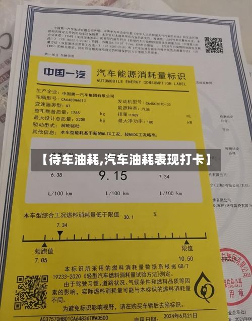 【待车油耗,汽车油耗表现打卡】