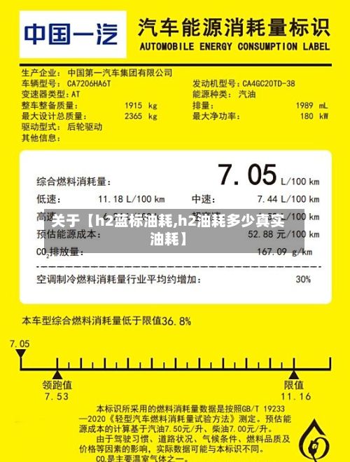 关于【h2蓝标油耗,h2油耗多少真实油耗】