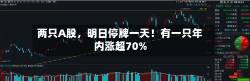 两只A股，明日停牌一天！有一只年内涨超70%