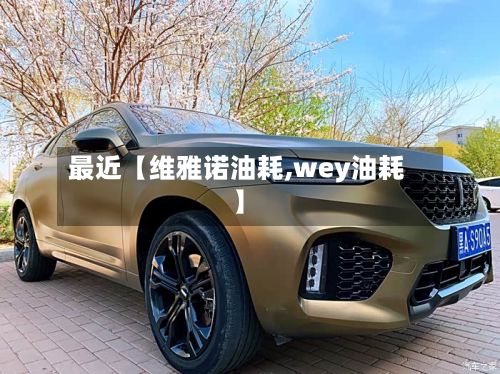 最近【维雅诺油耗,wey油耗】-第2张图片
