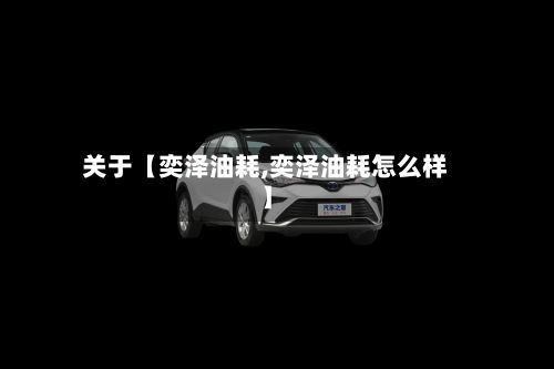 关于【奕泽油耗,奕泽油耗怎么样】