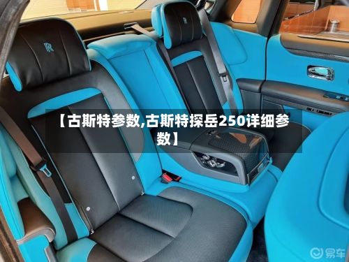 【古斯特参数,古斯特探岳250详细参数】-第3张图片