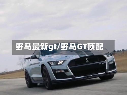 野马最新gt/野马GT顶配-第2张图片
