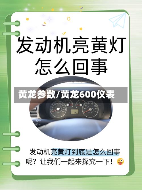 黄龙参数/黄龙600仪表