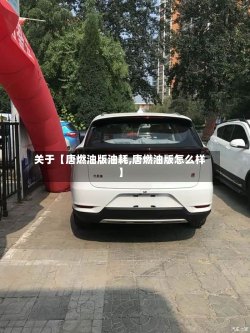 关于【唐燃油版油耗,唐燃油版怎么样】