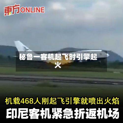 秘鲁一客机起飞时引擎起火