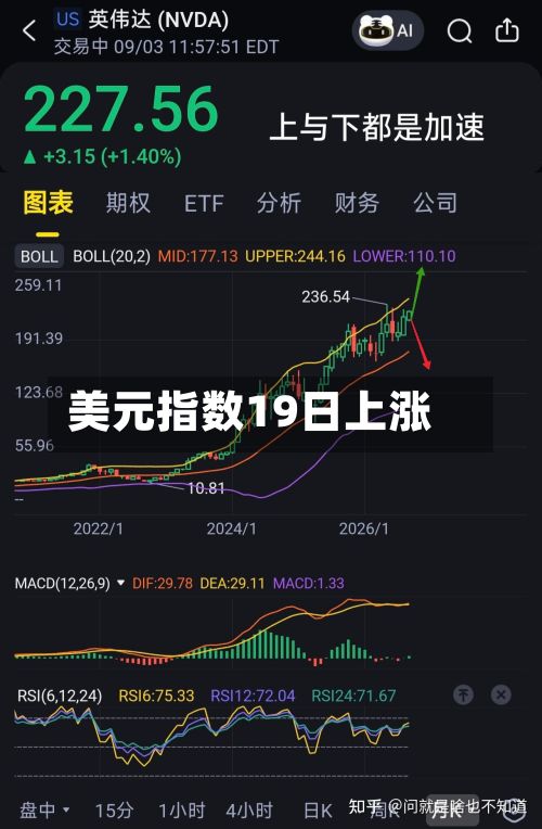 美元指数19日上涨