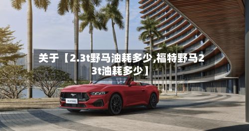 关于【2.3t野马油耗多少,福特野马23t油耗多少】