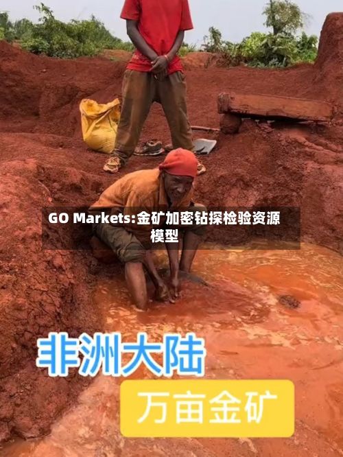 GO Markets:金矿加密钻探检验资源模型