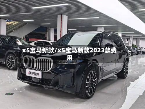 x5宝马新款/x5宝马新款2023款费用-第2张图片