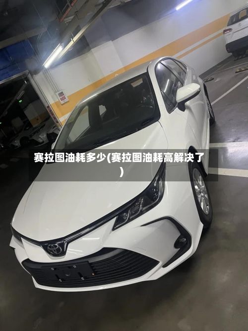 赛拉图油耗多少(赛拉图油耗高解决了)