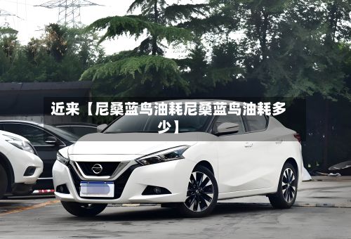 近来【尼桑蓝鸟油耗尼桑蓝鸟油耗多少】-第2张图片