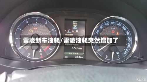 雷凌新车油耗/雷凌油耗突然增加了