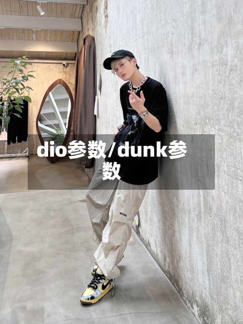 dio参数/dunk参数-第3张图片