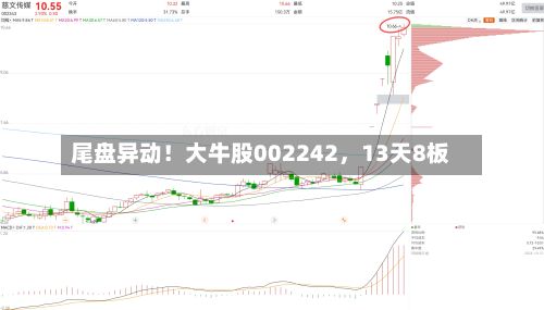 尾盘异动！大牛股002242，13天8板-第2张图片