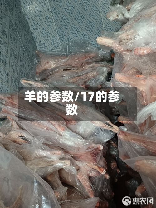 羊的参数/17的参数
