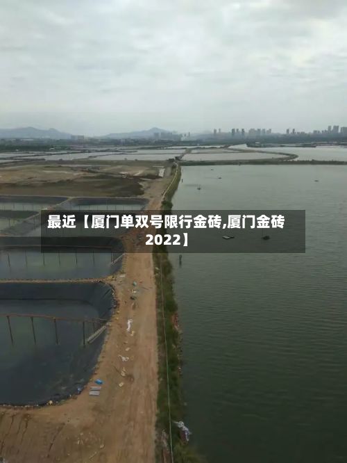 最近【厦门单双号限行金砖,厦门金砖2022】
