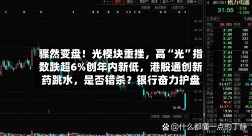 骤然变盘！光模块重挫	，高“光”指数跌超6%创年内新低，港股通创新药跳水，是否错杀？银行奋力护盘-第2张图片