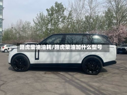路虎柴油油耗/路虎柴油加什么型号