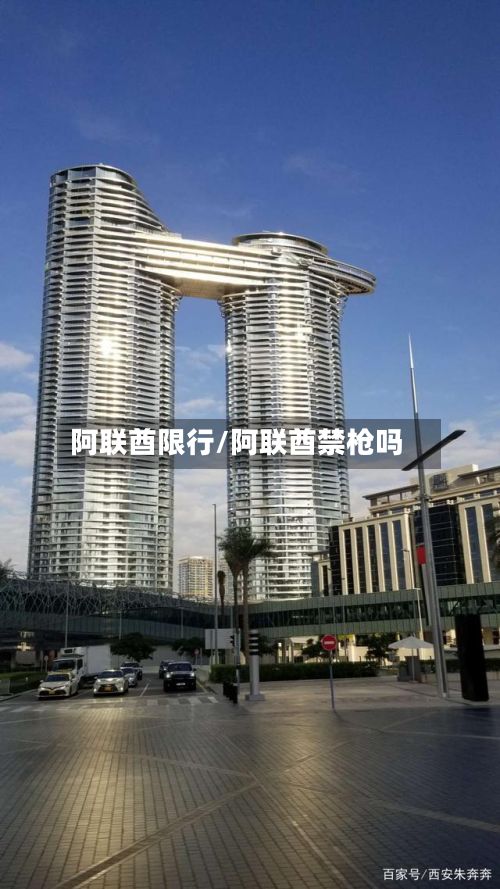 阿联酋限行/阿联酋禁枪吗-第2张图片